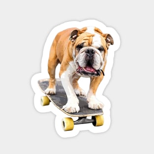 Bulldog on Skateboard Cute Puppy Dog British American Aussie Sticker